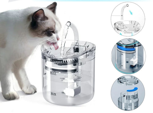 Fuente de de hidratación PettyBowl™ Lite
