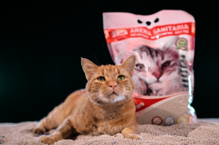 Arena VIP Para Gatos Aglutinante 3KG